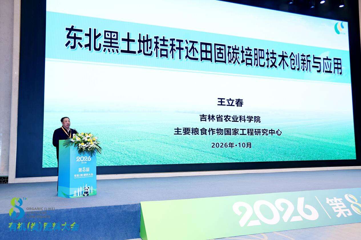 文档图片