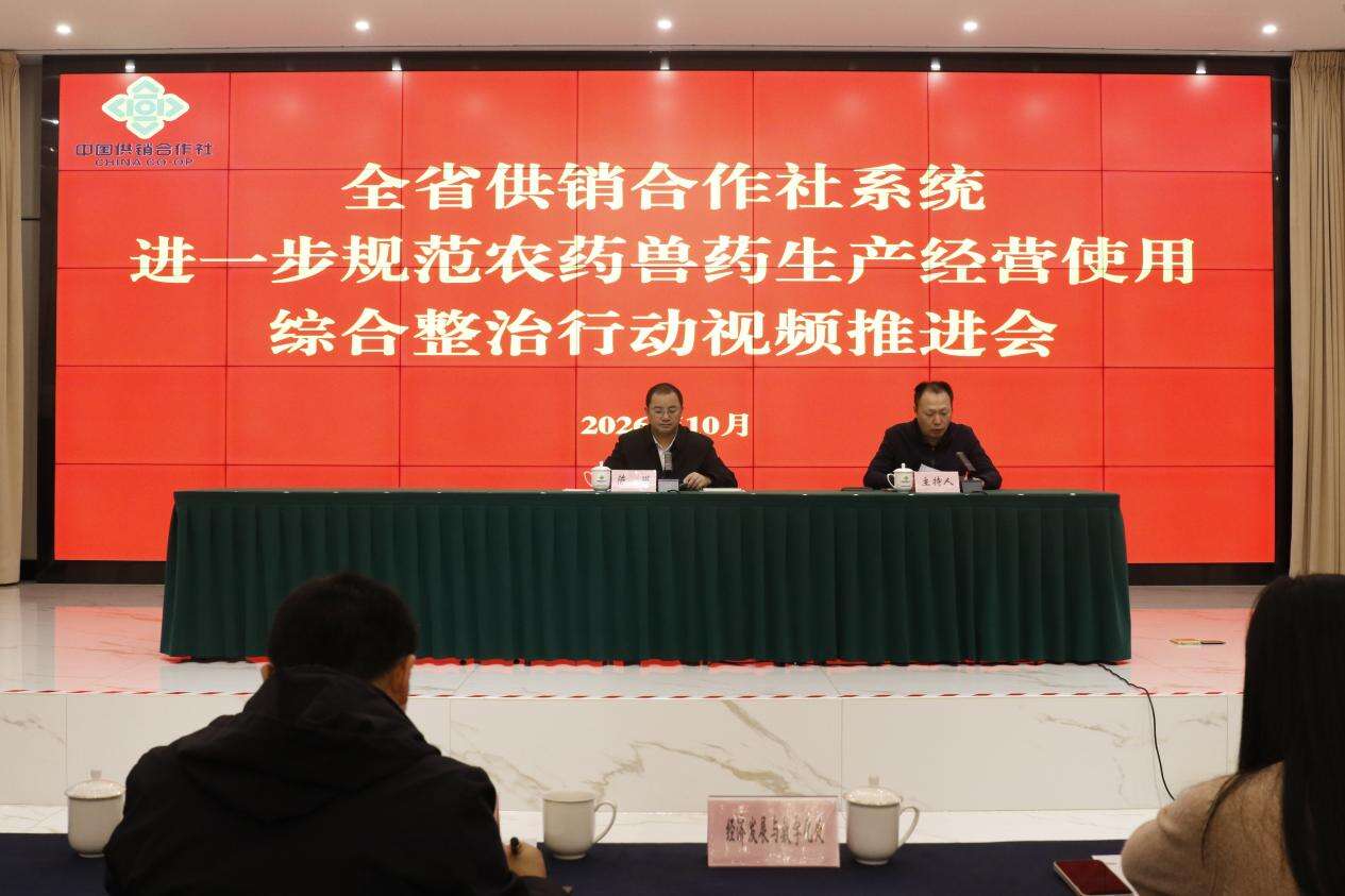 文档图片
