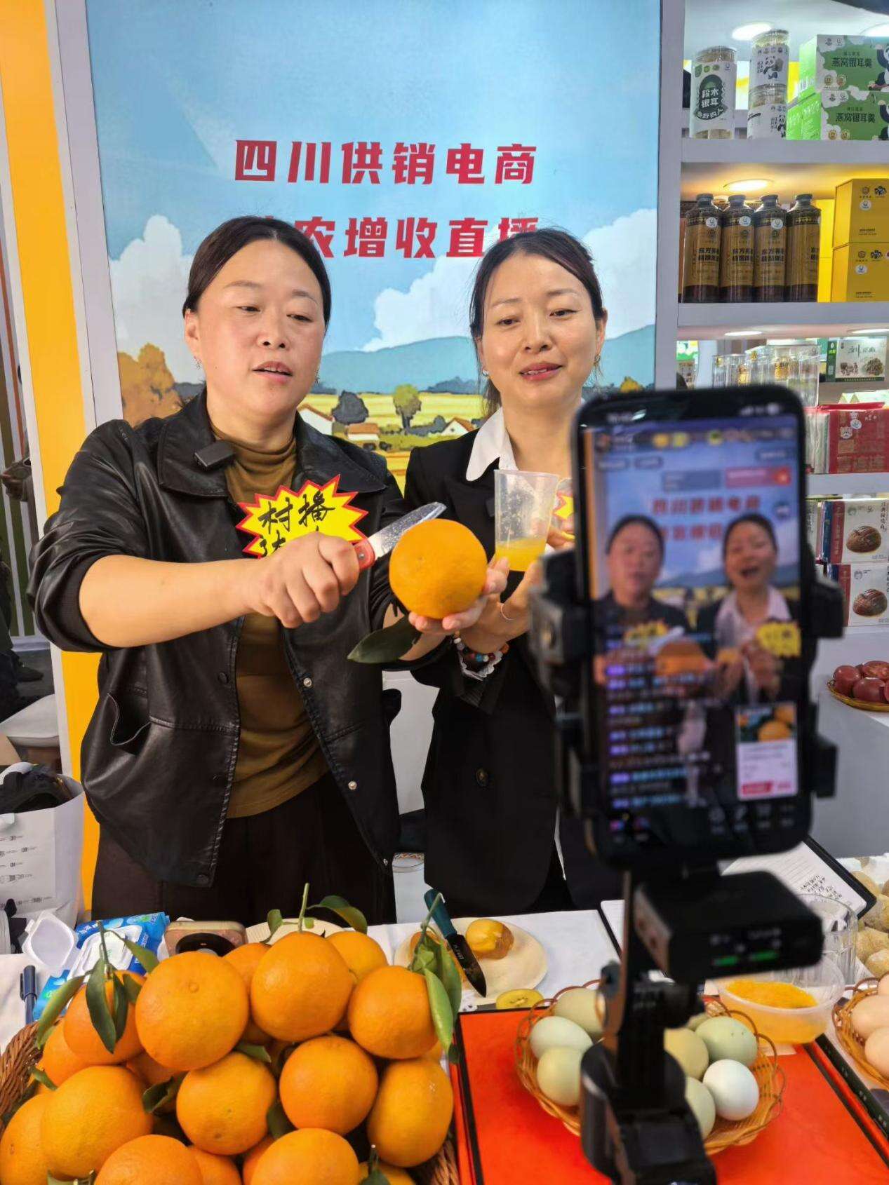 文档图片