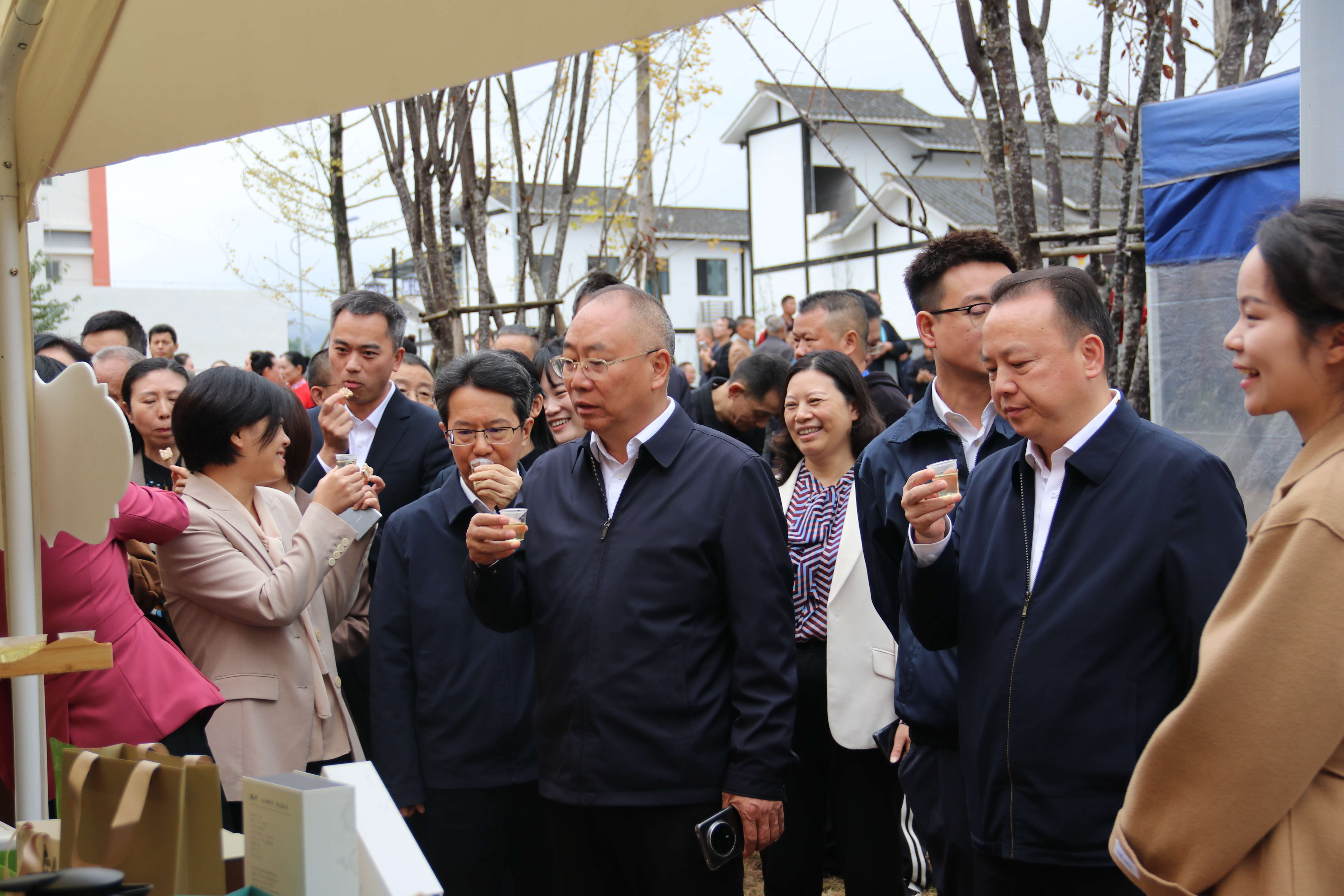 文档图片